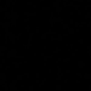 Meet your Posher, Bryanna